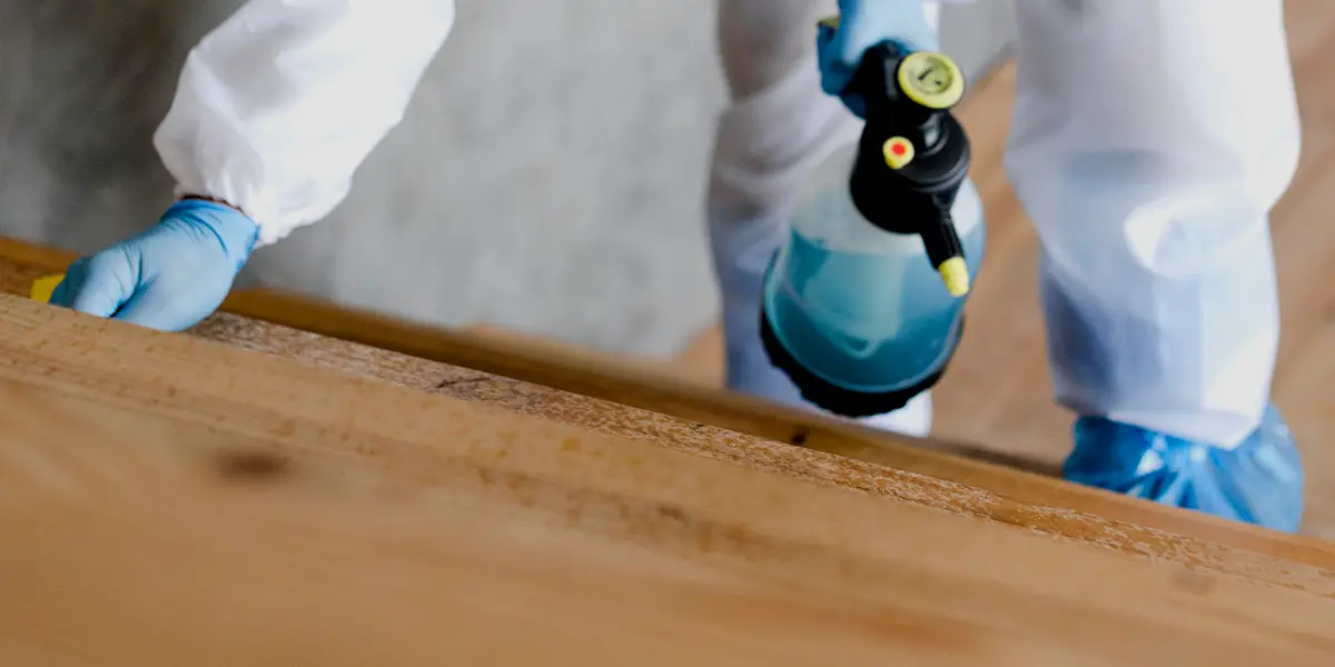 Foto de Controle de Pragas