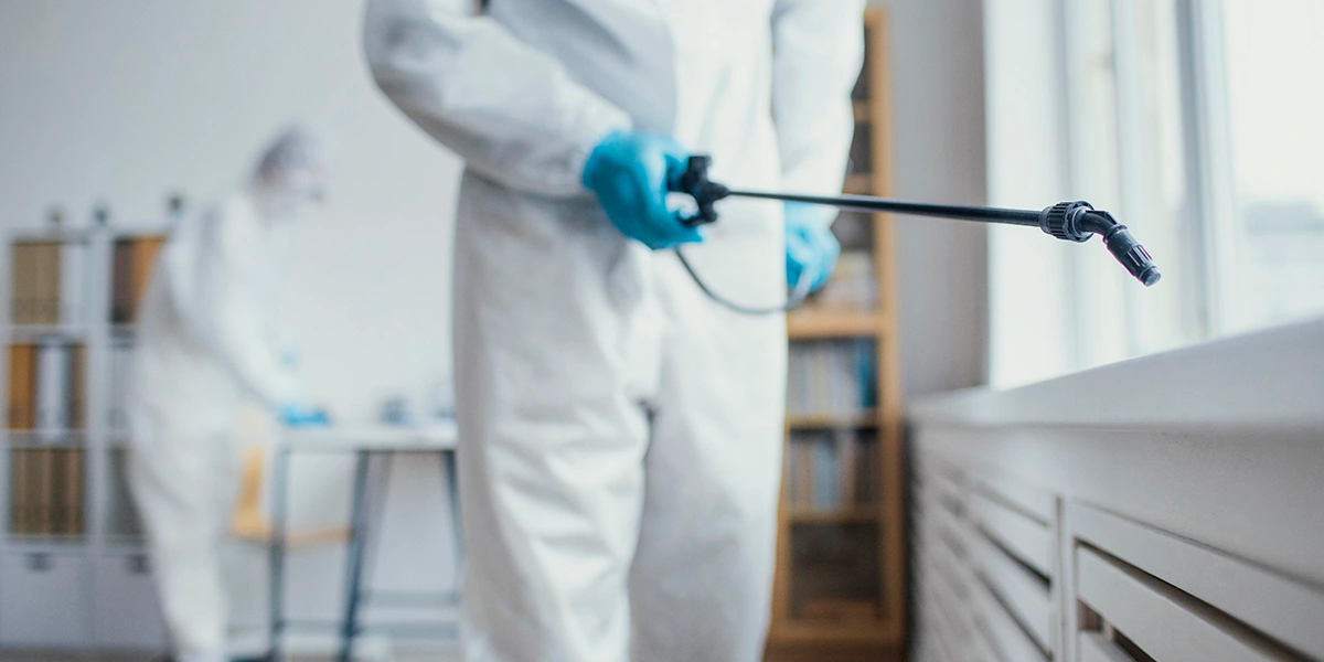 Imagem sobre Desratização profissional para residências e empresas class=