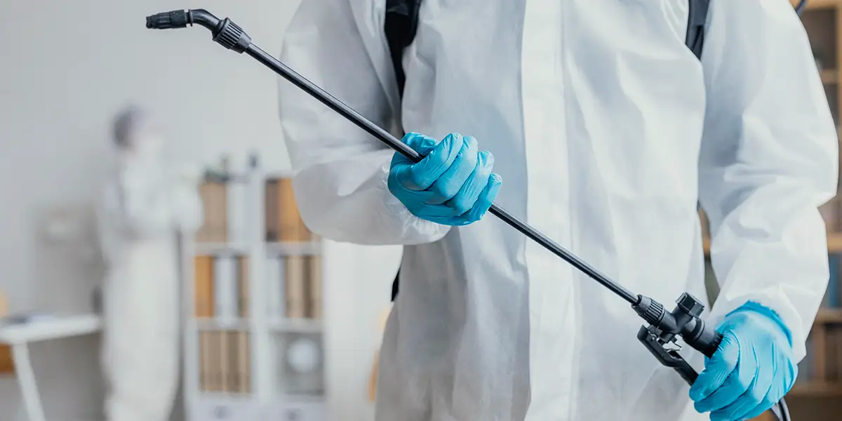 Foto de Limpeza Pós Morte