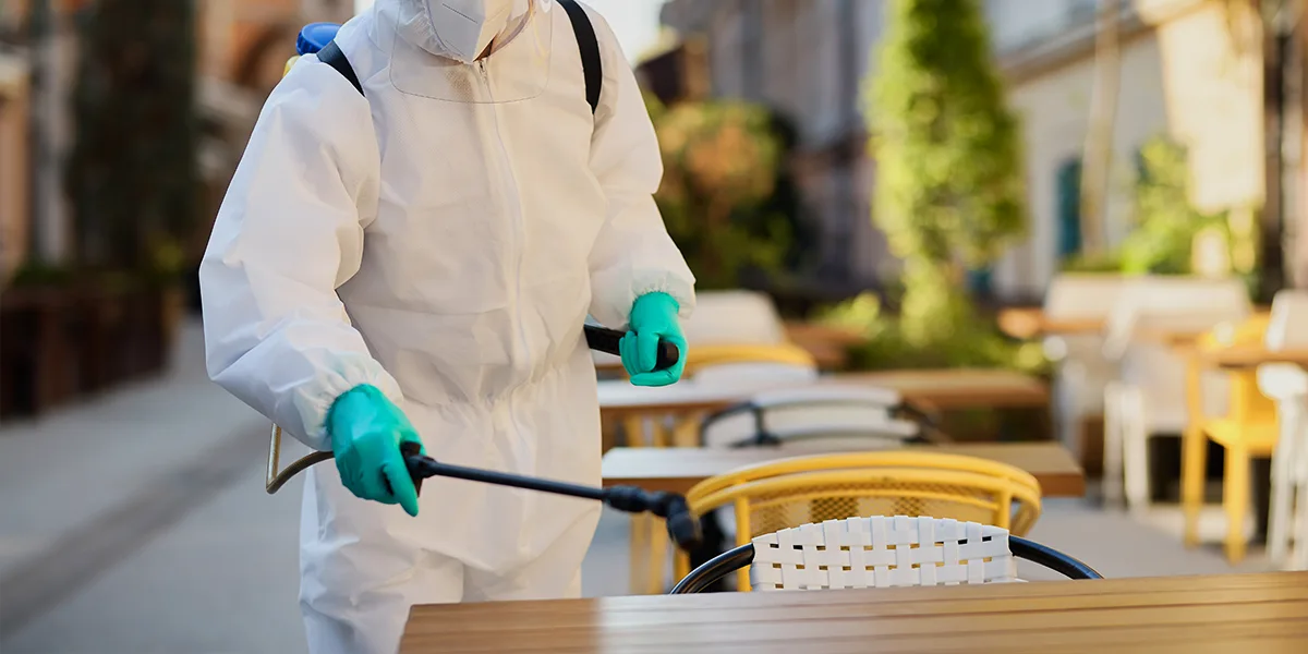 Diferença entre Dedetização, Desinsetização e Descupinização